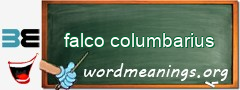 WordMeaning blackboard for falco columbarius